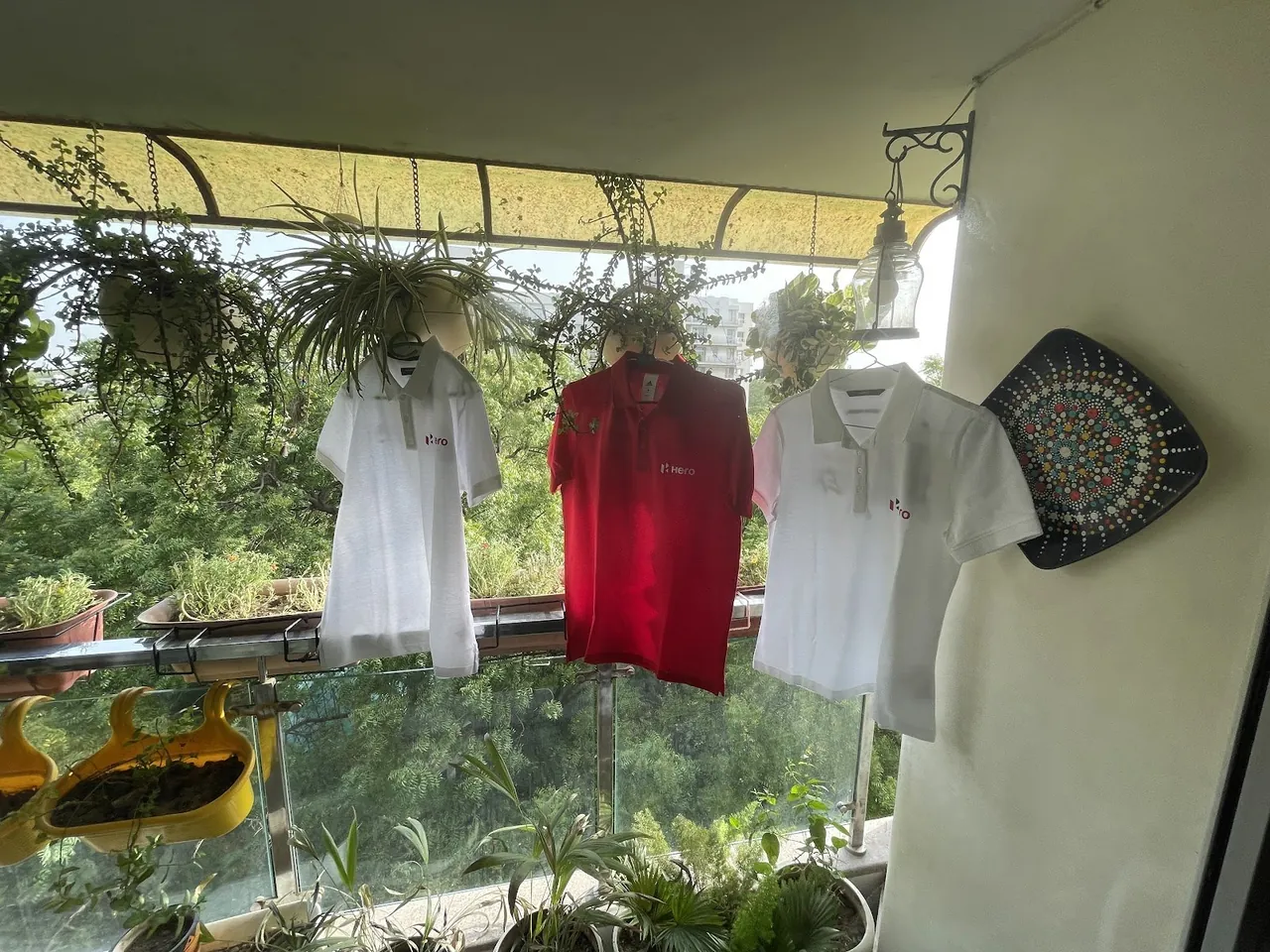 Crew tees drying in the sun